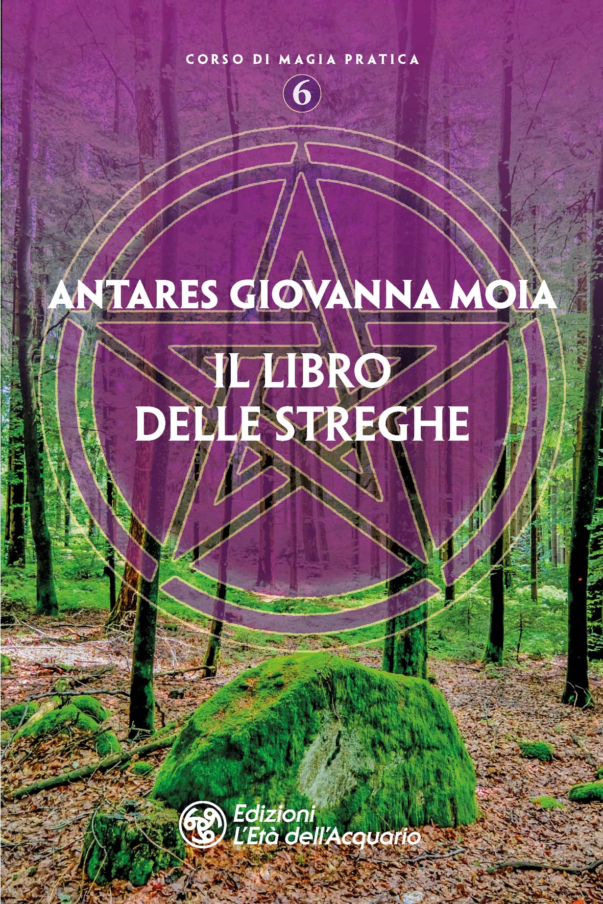 Il libro delle streghe